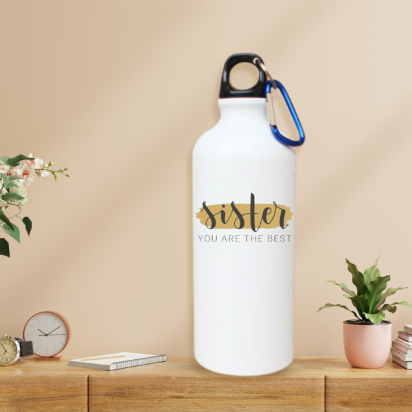 sister-you-are-the-best-graphic-printed-sipper